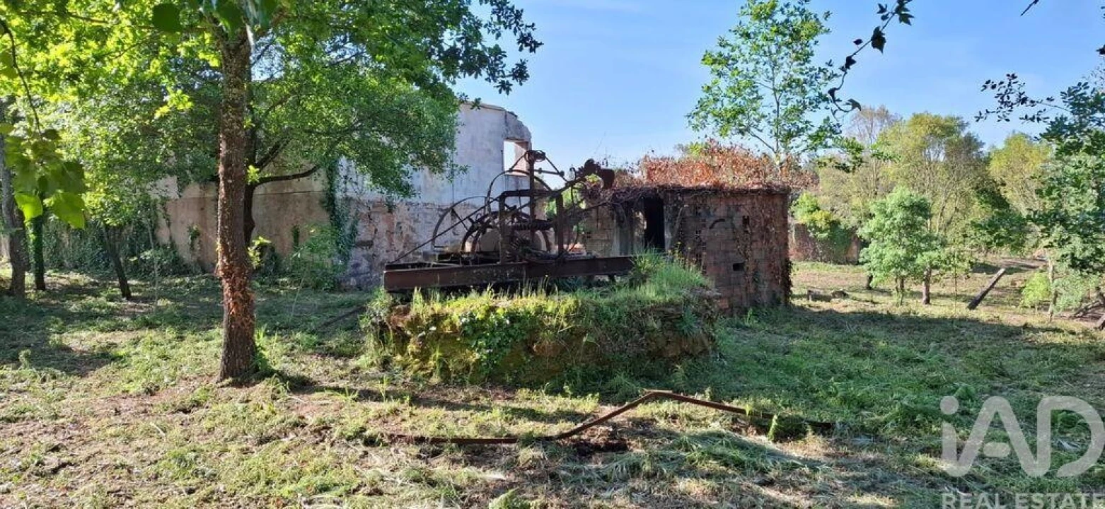 Quinta para Venda em Graça Foto 15