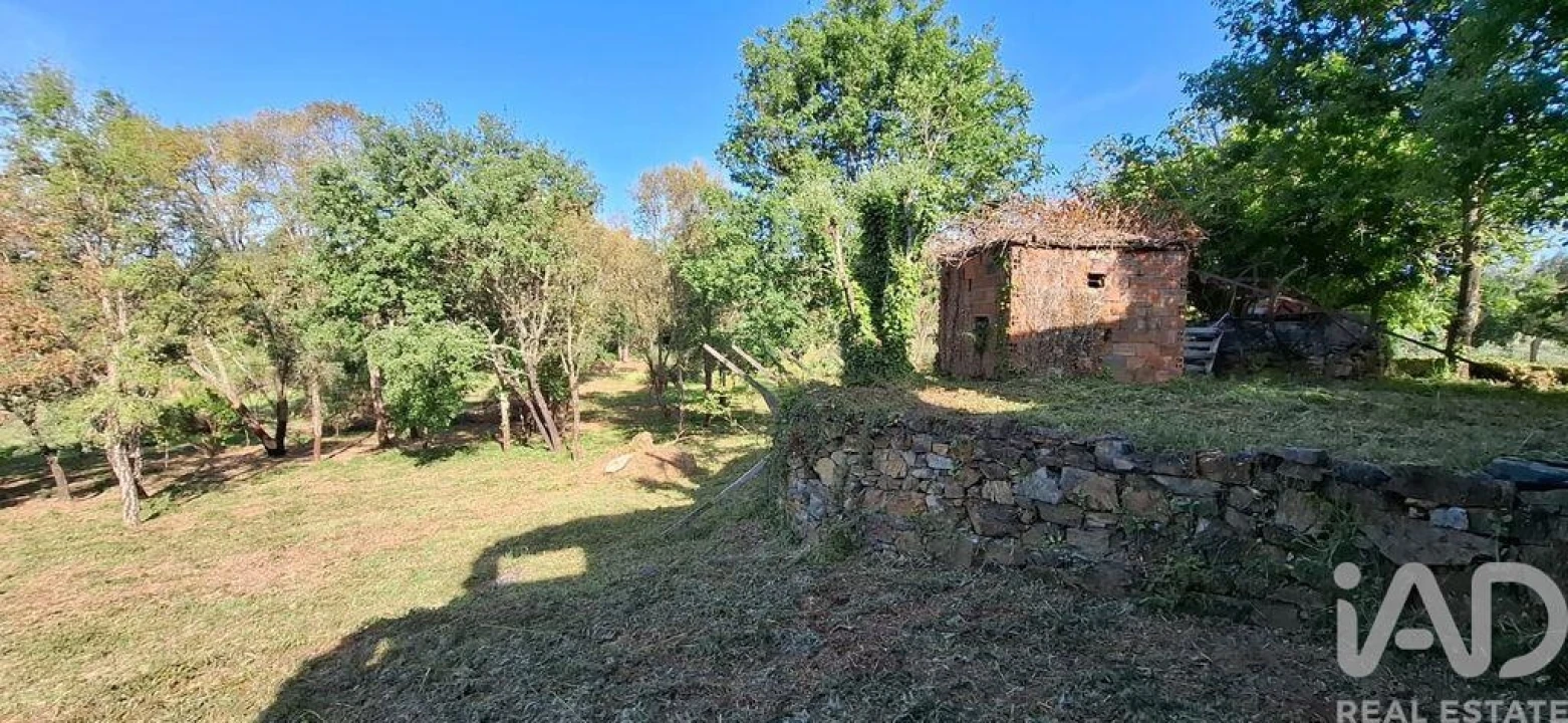Quinta para Venda em Graça Foto 28
