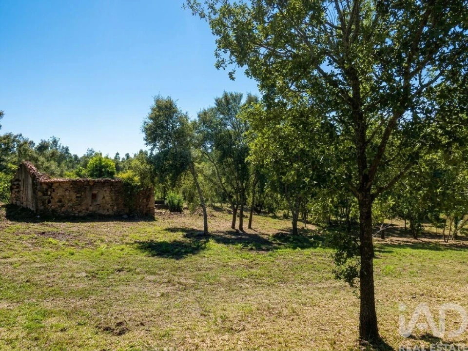 Quinta para Venda em Graça Foto 4