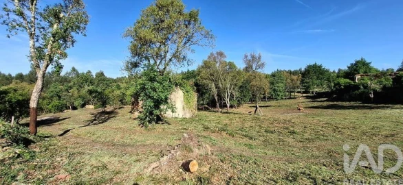 Quinta para Venda em Graça