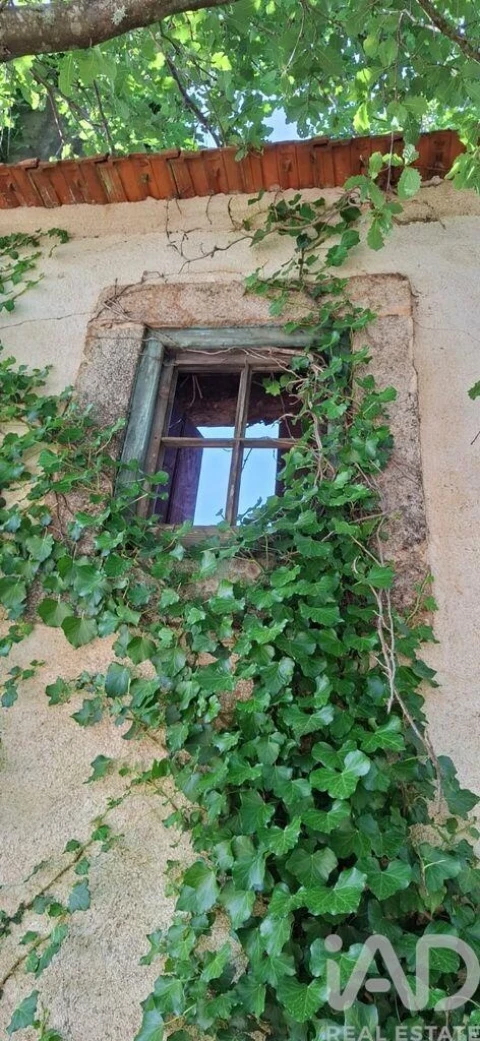Quinta para Venda em Graça