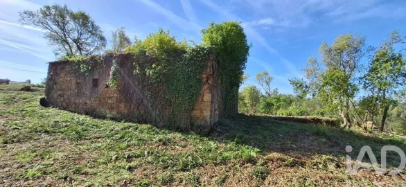 Quinta para Venda em Graça