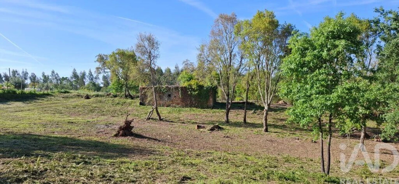 Quinta para Venda em Graça Foto 31