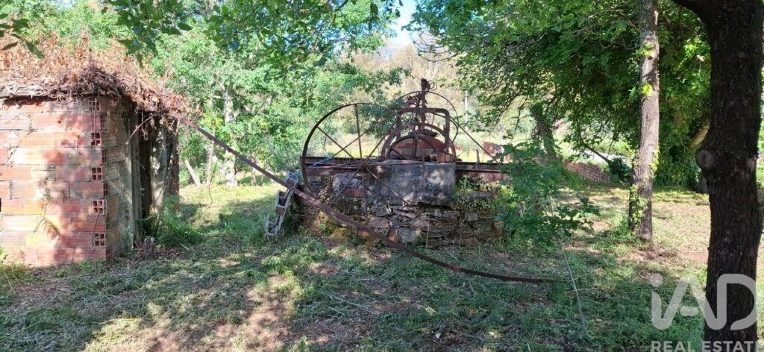 Quinta para Venda em Graça Foto 17