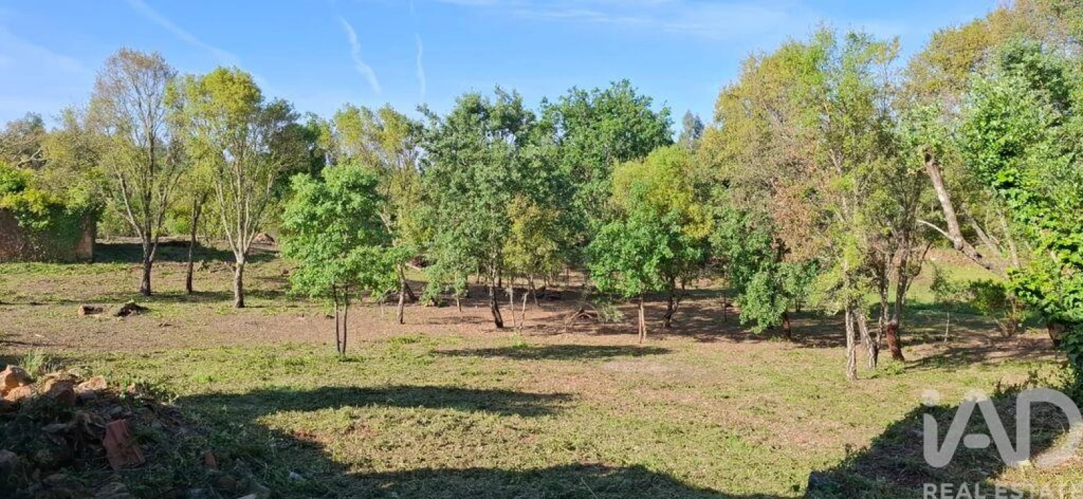 Quinta para Venda em Graça Foto 35
