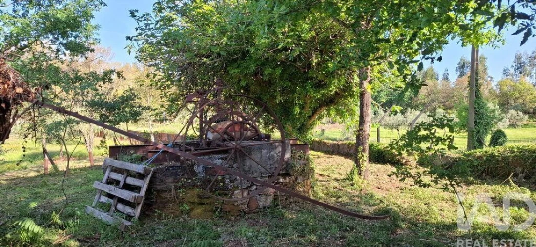 Quinta para Venda em Graça Foto 27
