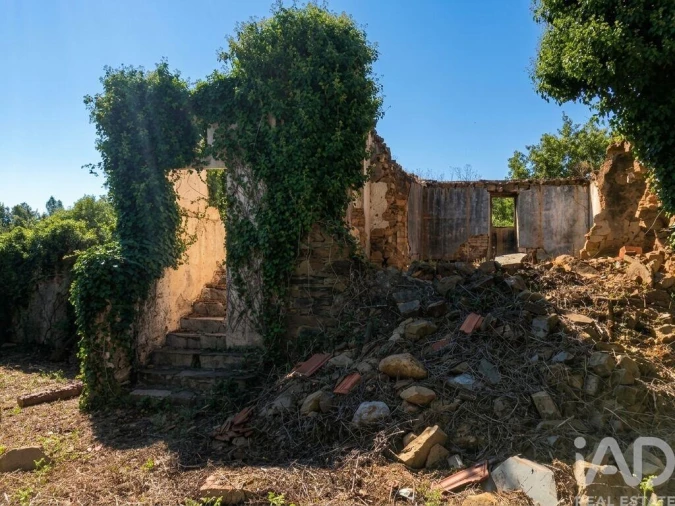 Quinta para Venda em Graça Foto 9