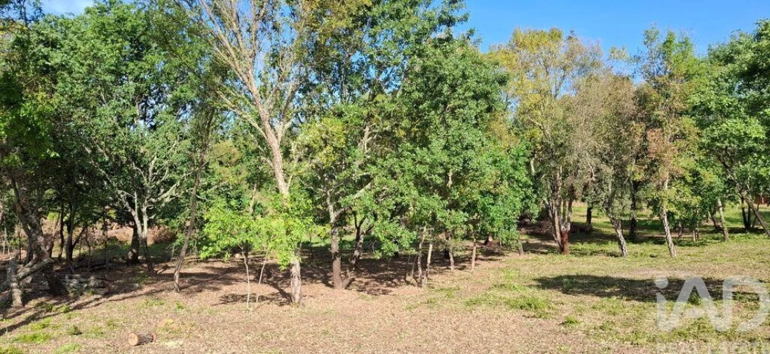 Quinta para Venda em Graça Foto 33