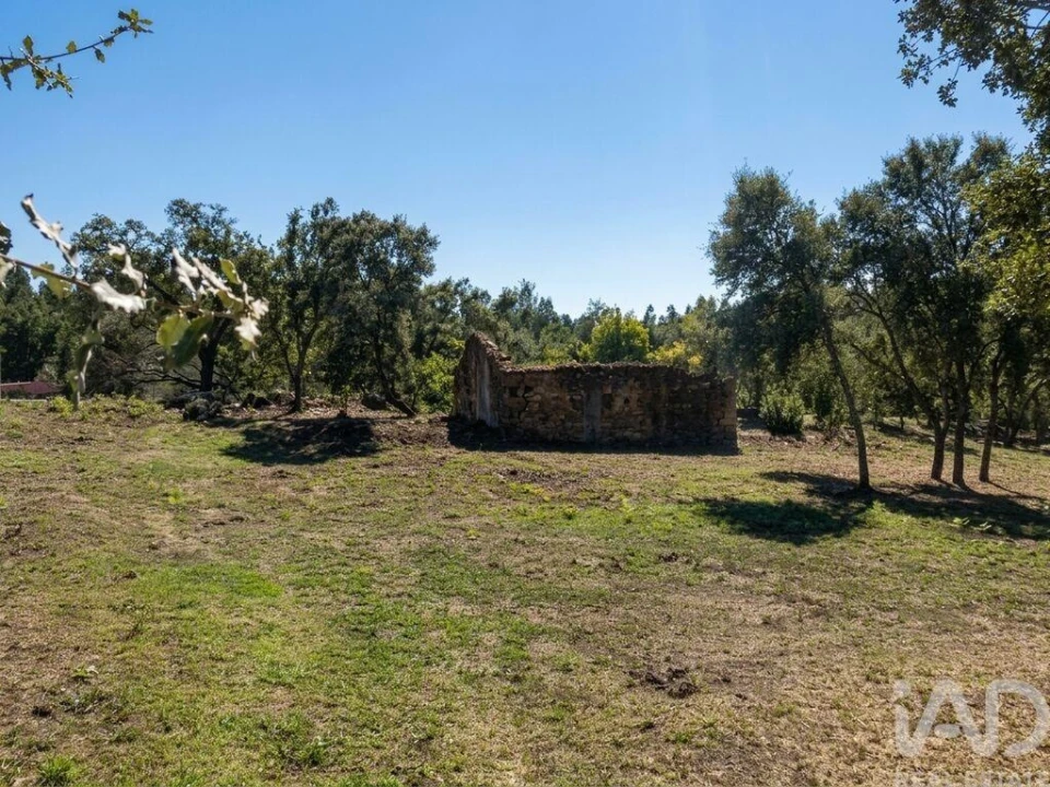 Quinta para Venda em Graça Foto 7
