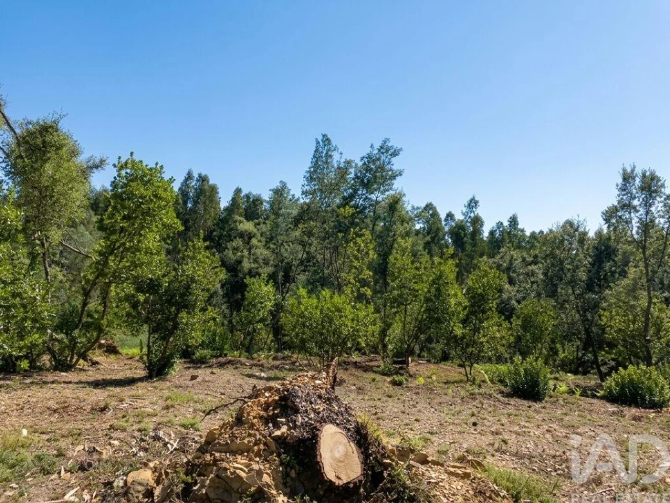 Quinta para Venda em Graça Foto 30