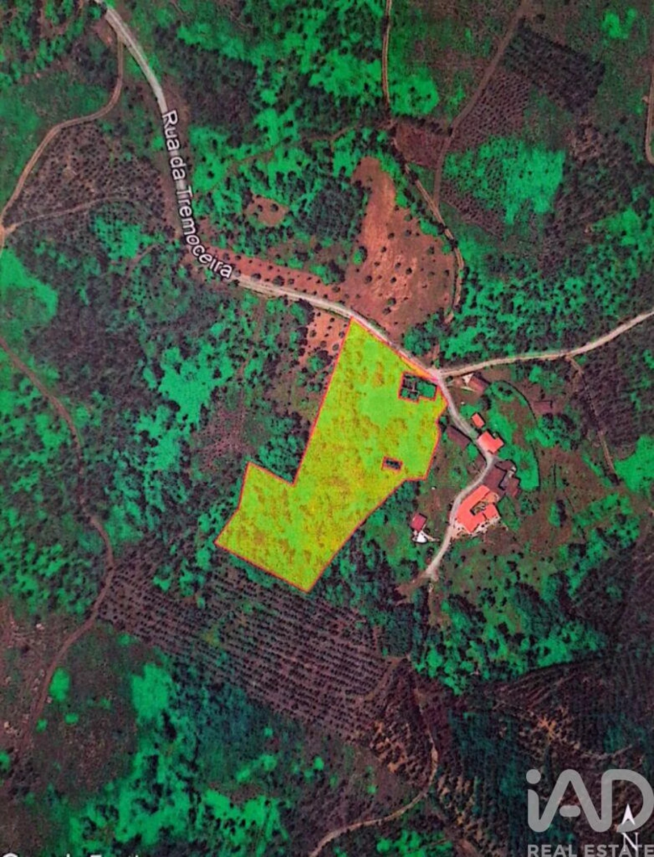 Quinta para Venda em Graça Foto 39