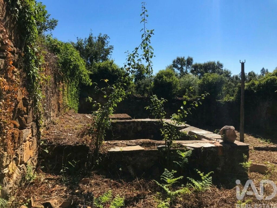 Quinta para Venda em Graça Foto 22