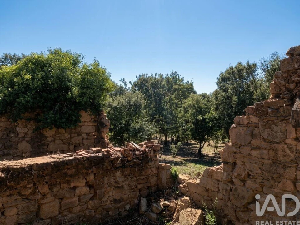Quinta para Venda em Graça Foto 25