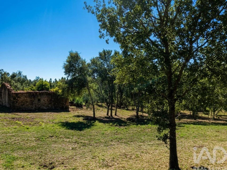 Quinta para Venda em Graça Foto 8