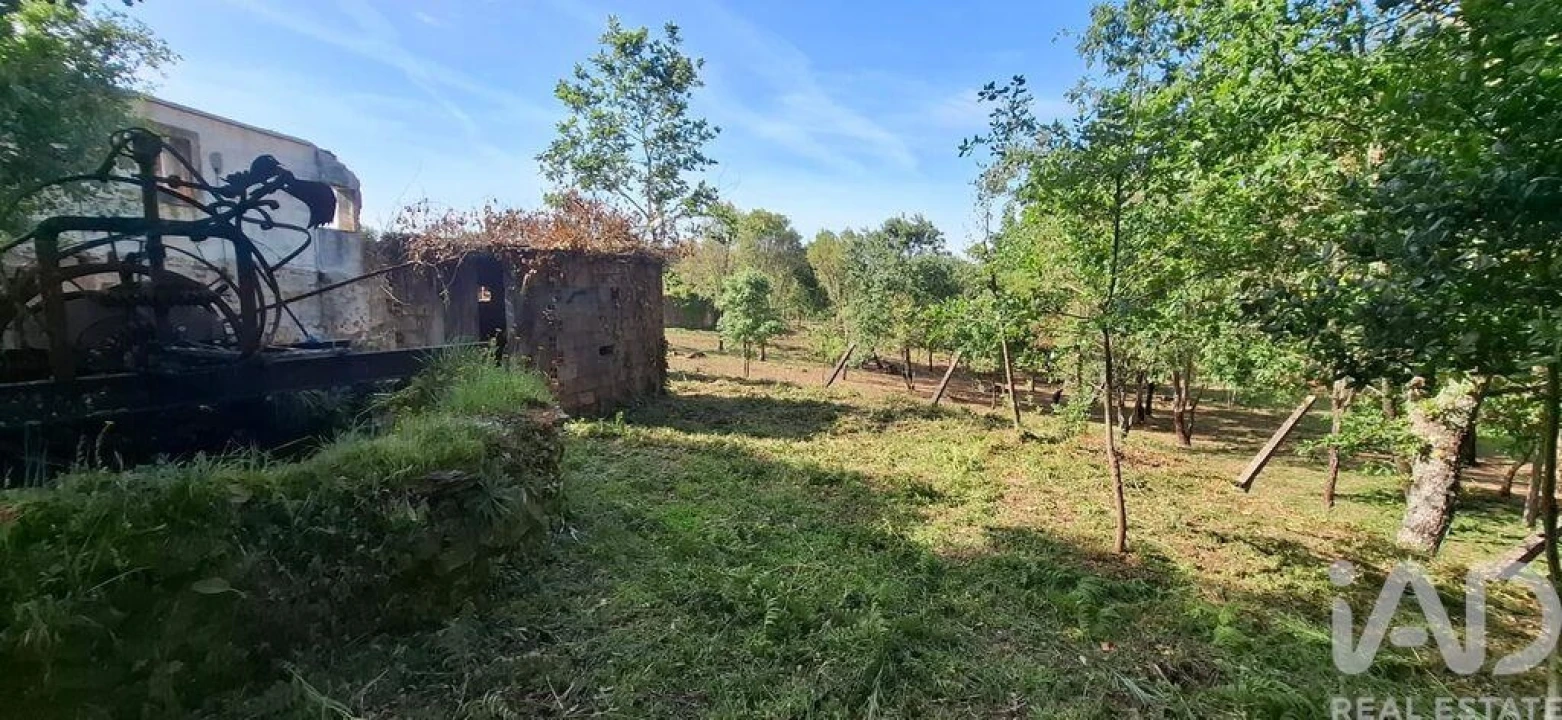 Quinta para Venda em Graça Foto 18