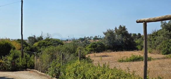 Quinta T3 para Venda em Lagoa e Carvoeiro