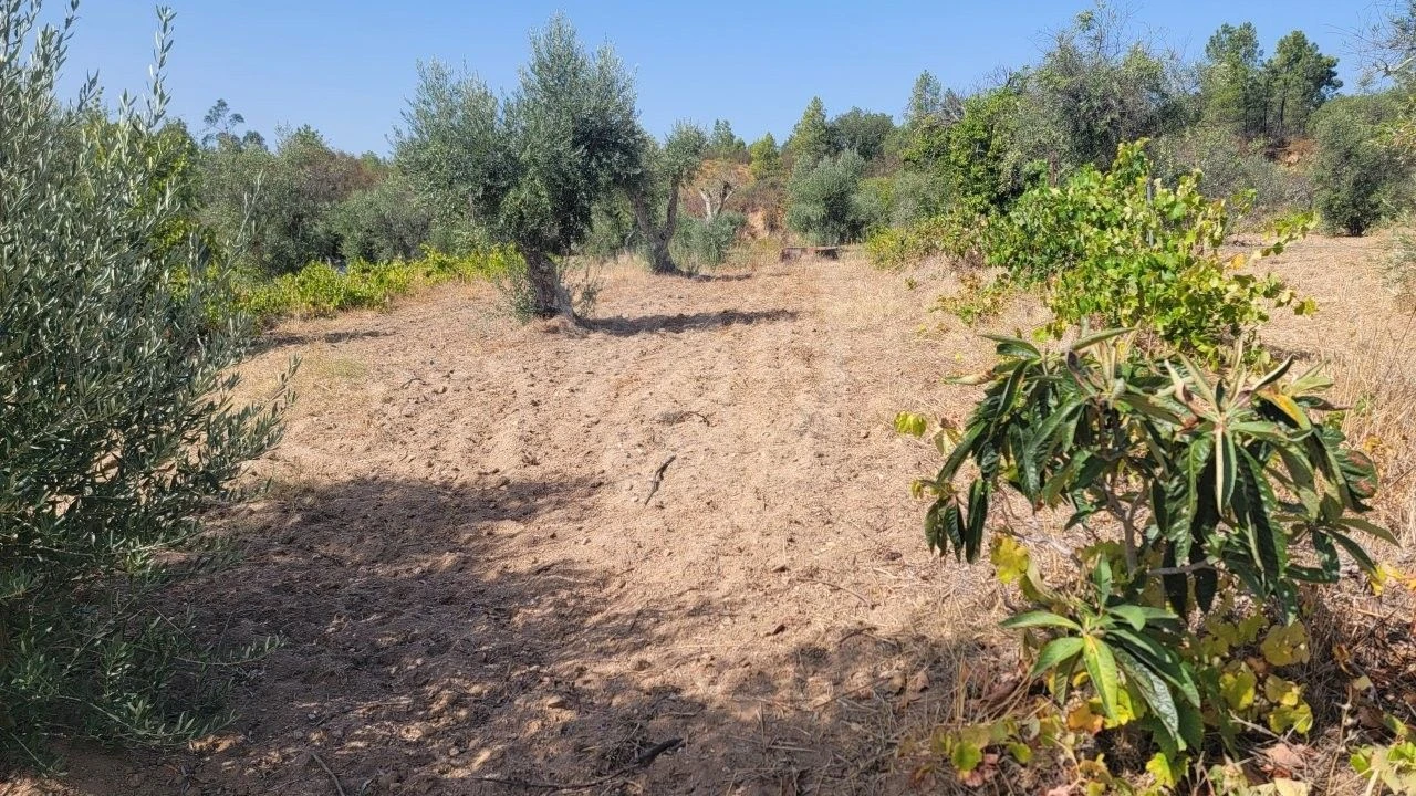 Terreno Agricola ou Rústico para Venda em Santo Andre das Tojeiras Foto 7