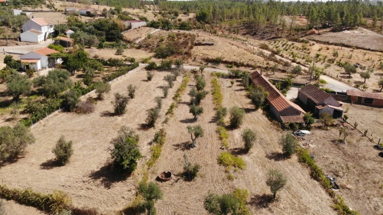 Terreno Agricola ou Rústico para Venda em Santo Andre das Tojeiras Foto 35