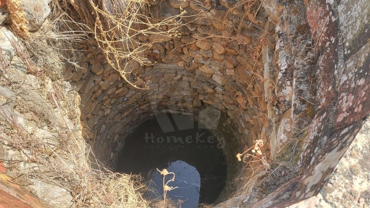 Terreno Agricola ou Rústico para Venda em Santo Andre das Tojeiras Foto 9