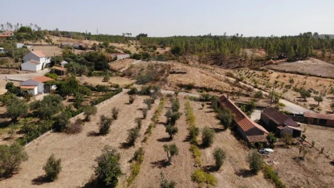 Terreno Agricola ou Rústico para Venda em Santo Andre das Tojeiras