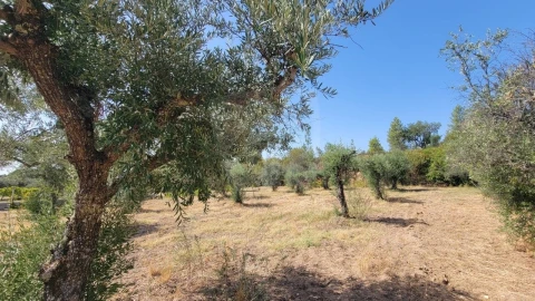 Terreno Agricola ou Rústico para Venda em Santo Andre das Tojeiras
