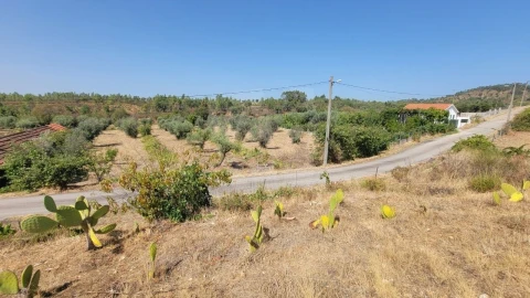 Terreno Agricola ou Rústico para Venda em Santo Andre das Tojeiras