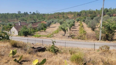 Terreno Agricola ou Rústico para Venda em Santo Andre das Tojeiras