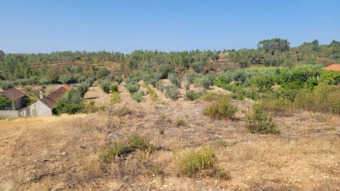 Terreno Agricola ou Rústico para Venda em Santo Andre das Tojeiras