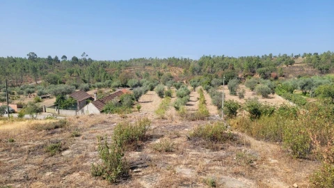 Terreno Agricola ou Rústico para Venda em Santo Andre das Tojeiras