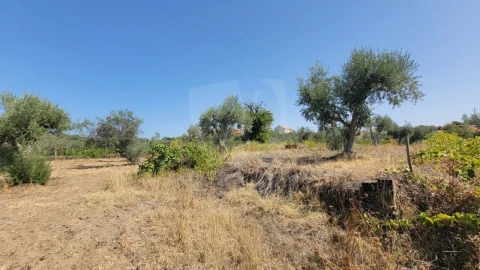 Terreno Agricola ou Rústico para Venda em Santo Andre das Tojeiras