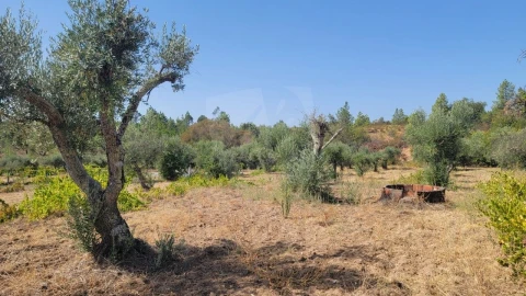 Terreno Agricola ou Rústico para Venda em Santo Andre das Tojeiras