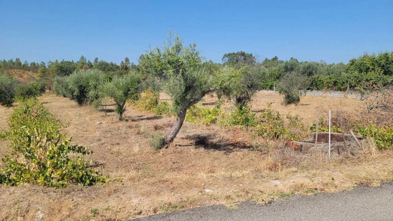 Terreno Agricola ou Rústico para Venda em Santo Andre das Tojeiras Foto 2