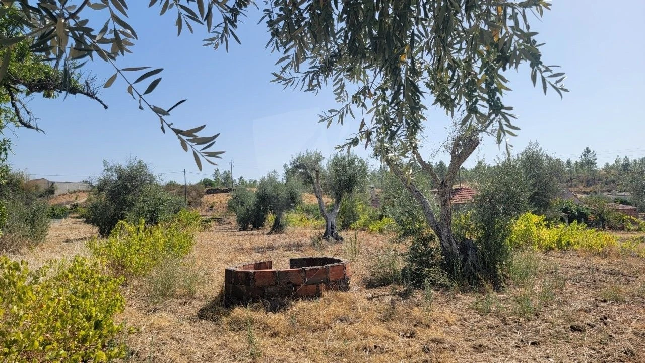 Terreno Agricola ou Rústico para Venda em Santo Andre das Tojeiras Foto 19