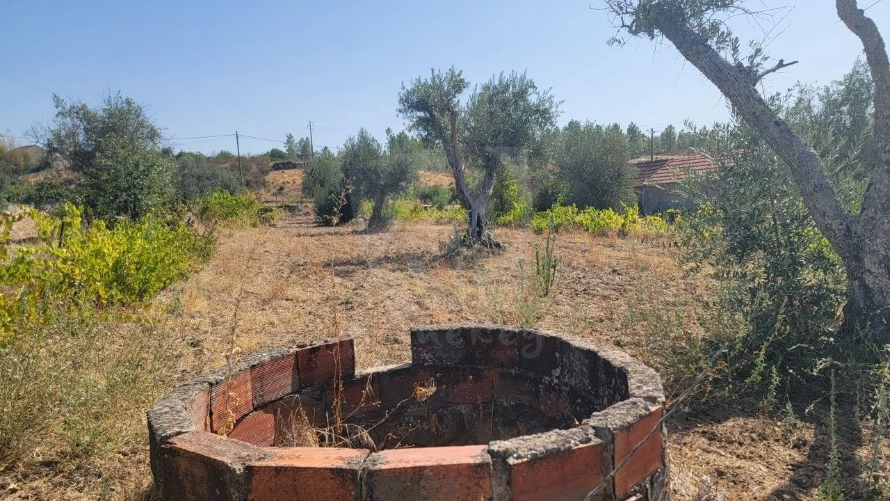 Terreno Agricola ou Rústico para Venda em Santo Andre das Tojeiras Foto 10