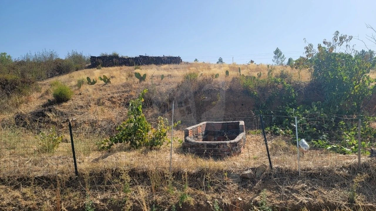Terreno Agricola ou Rústico para Venda em Santo Andre das Tojeiras Foto 21