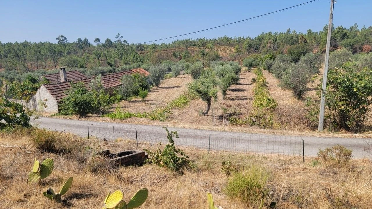 Terreno Agricola ou Rústico para Venda em Santo Andre das Tojeiras Foto 26