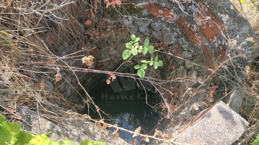 Terreno Agricola ou Rústico para Venda em Santo Andre das Tojeiras Foto 12