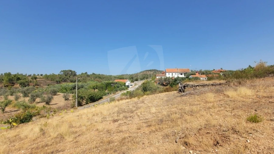 Terreno Agricola ou Rústico para Venda em Santo Andre das Tojeiras Foto 31