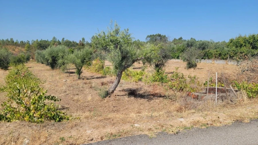 Terreno Agricola ou Rústico para Venda em Santo Andre das Tojeiras Foto 2