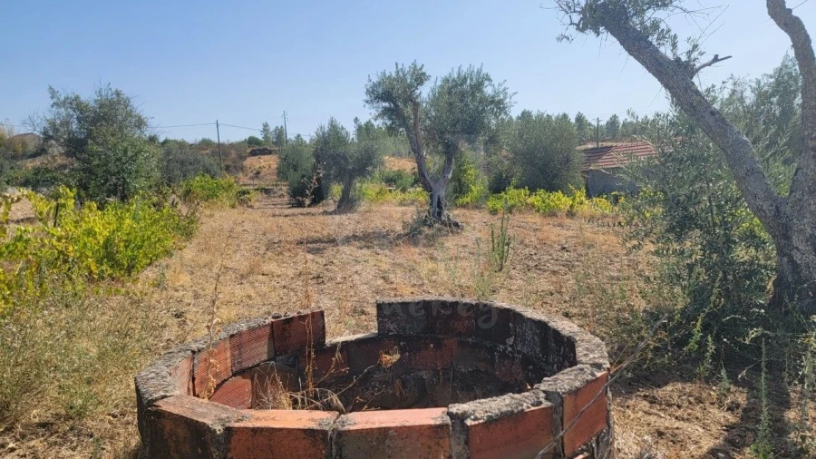Terreno Agricola ou Rústico para Venda em Santo Andre das Tojeiras Foto 10