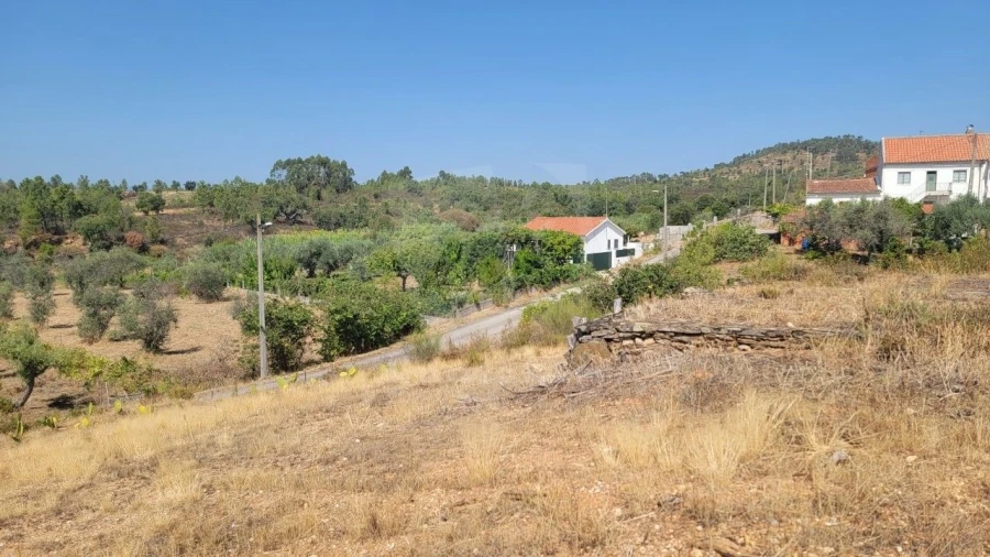 Terreno Agricola ou Rústico para Venda em Santo Andre das Tojeiras Foto 30