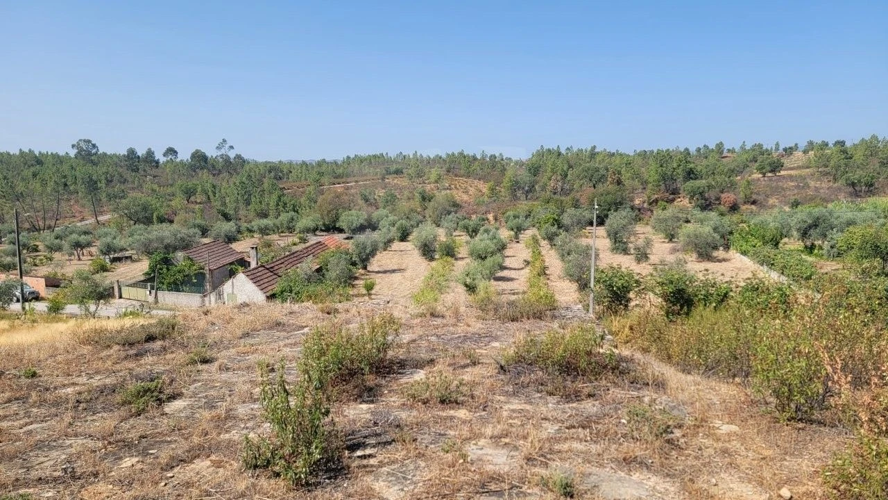 Terreno Agricola ou Rústico para Venda em Santo Andre das Tojeiras Foto 28