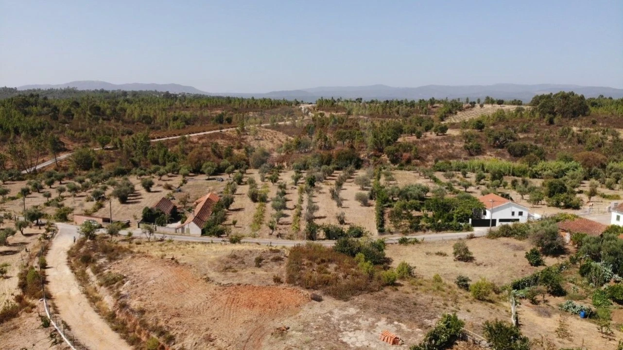Terreno Agricola ou Rústico para Venda em Santo Andre das Tojeiras Foto 33