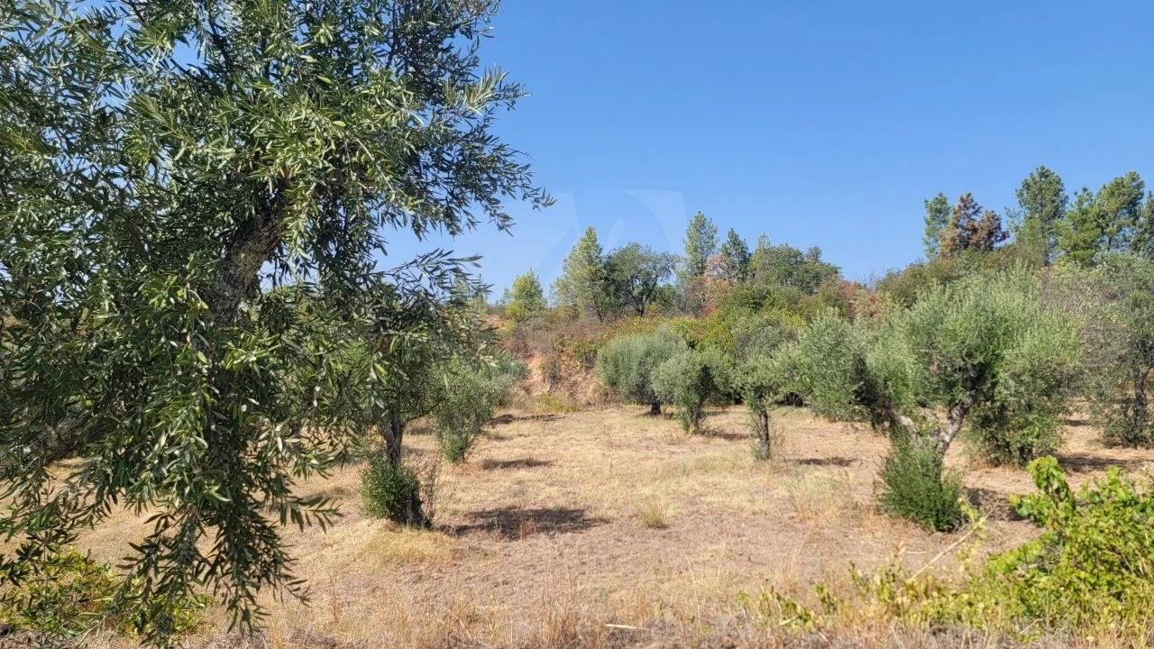 Terreno Agricola ou Rústico para Venda em Santo Andre das Tojeiras Foto 11