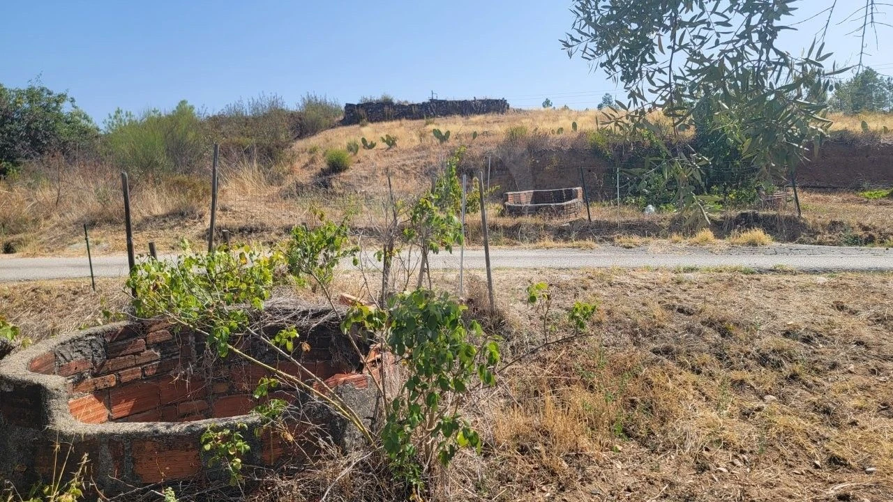Terreno Agricola ou Rústico para Venda em Santo Andre das Tojeiras Foto 4
