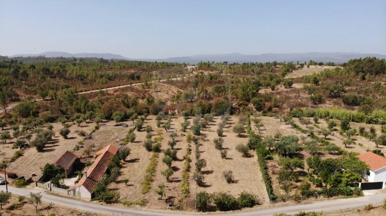 Terreno Agricola ou Rústico para Venda em Santo Andre das Tojeiras Foto 34