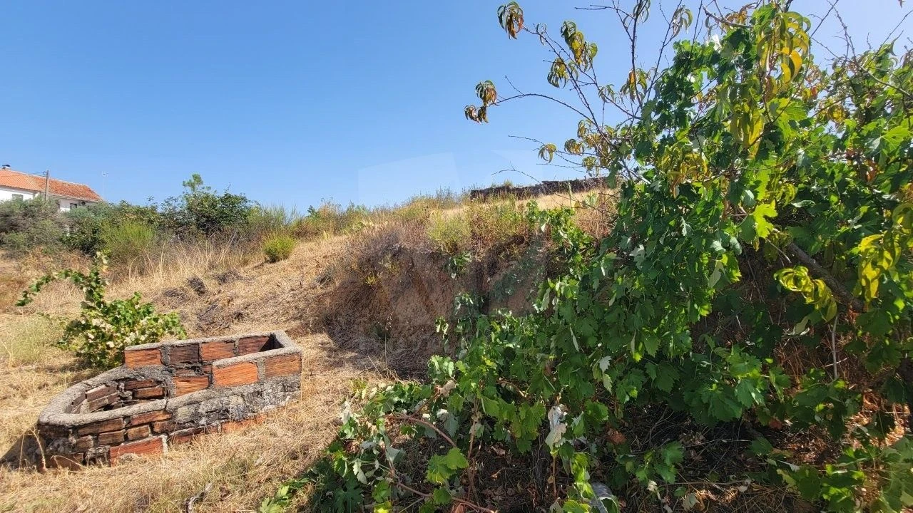 Terreno Agricola ou Rústico para Venda em Santo Andre das Tojeiras Foto 23