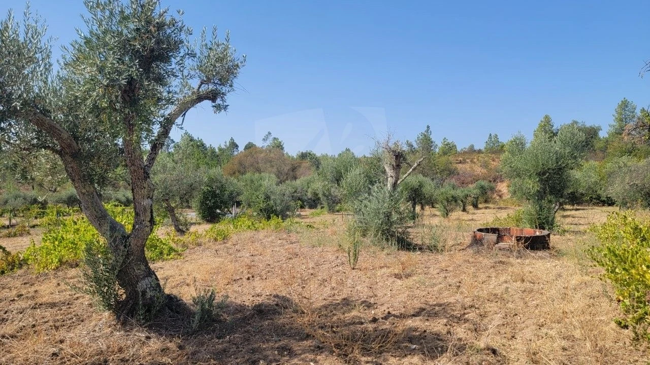 Terreno Agricola ou Rústico para Venda em Santo Andre das Tojeiras Foto 8
