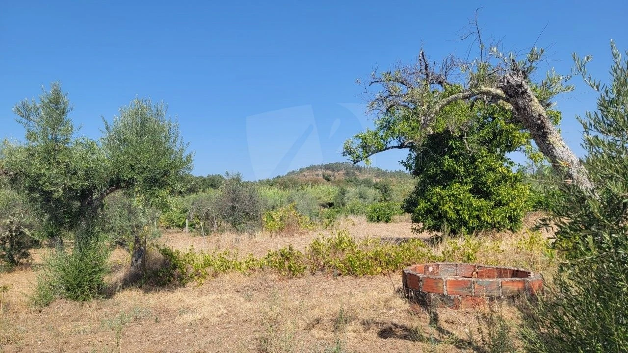 Terreno Agricola ou Rústico para Venda em Santo Andre das Tojeiras Foto 1