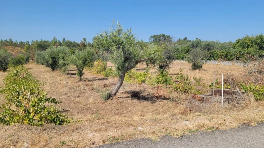 Terreno Agricola ou Rústico para Venda em Santo Andre das Tojeiras